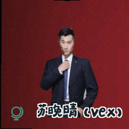 苏晚晴 (Vex)
